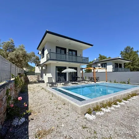 Geen Grapes Apartment Fethiye